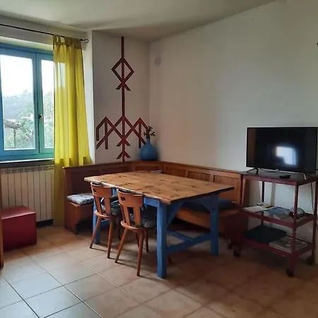 公寓 Ca Del Bosco Moglio 阿拉西奥